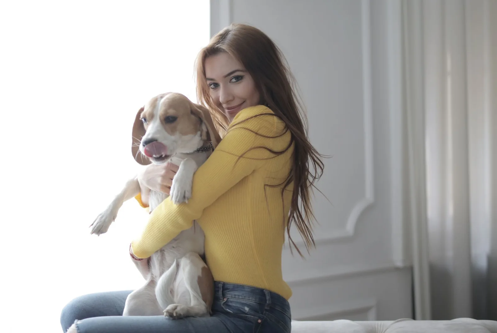 Woman in a yellow sweater hugging a beagle