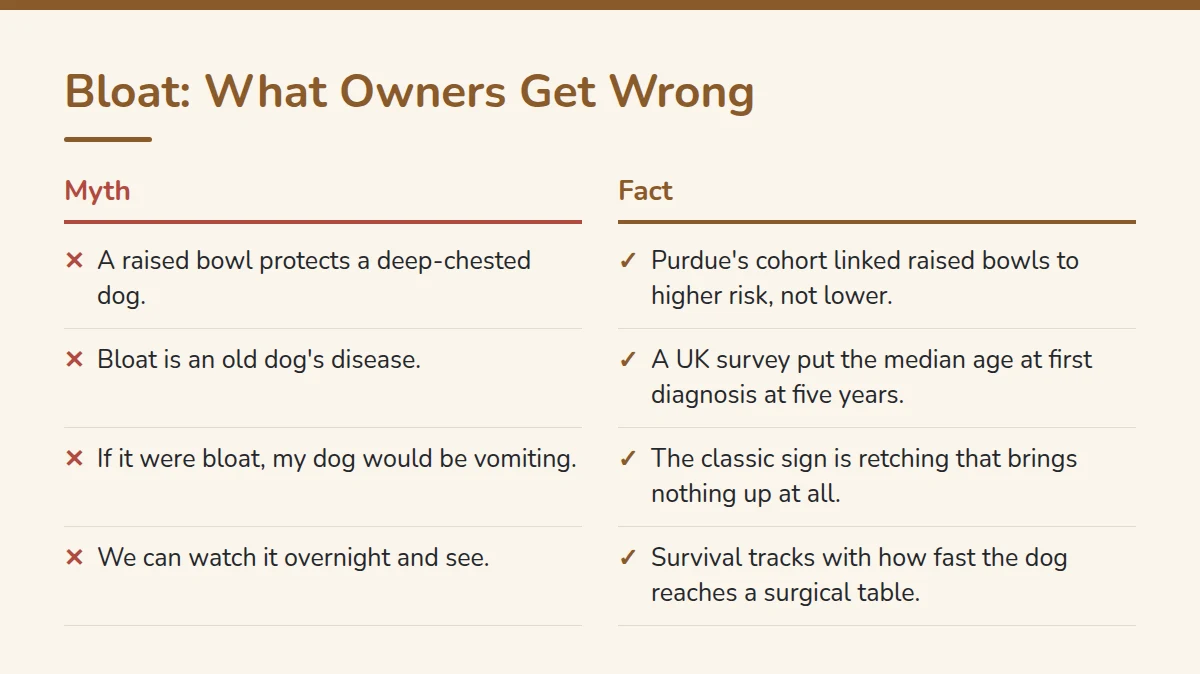 Summary card: Bloat myths owners get wrong