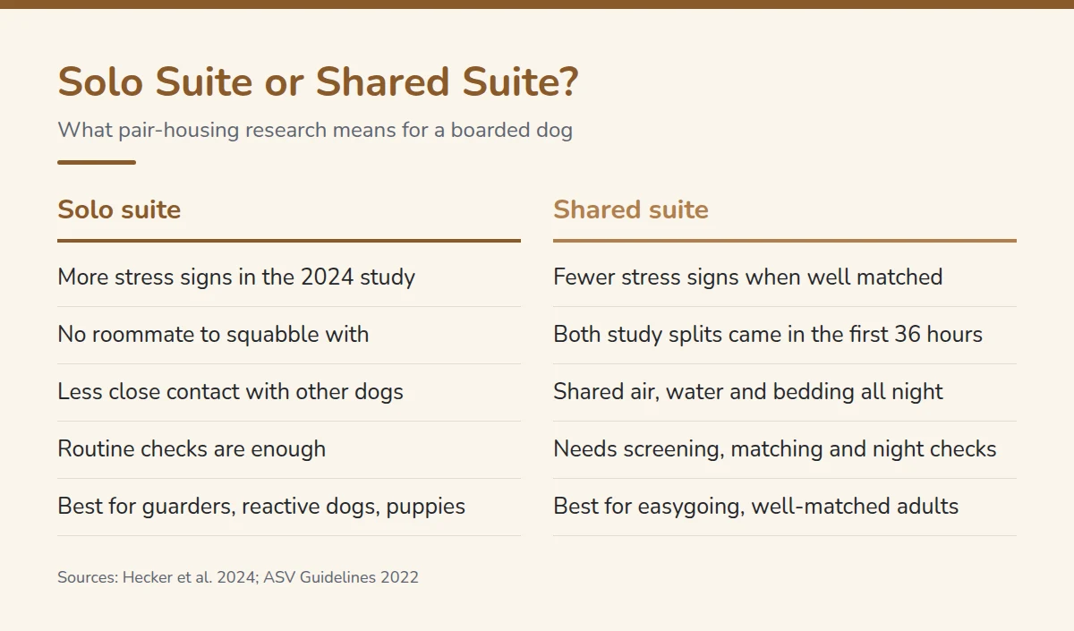 Summary card: Solo Suite or Shared Suite?