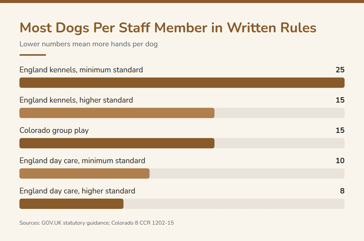 Summary card: Most Dogs Per Staff Member in Written Rules